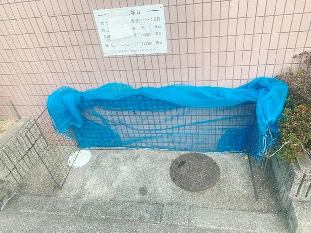 塚口駅 徒歩8分 2階の物件内観写真