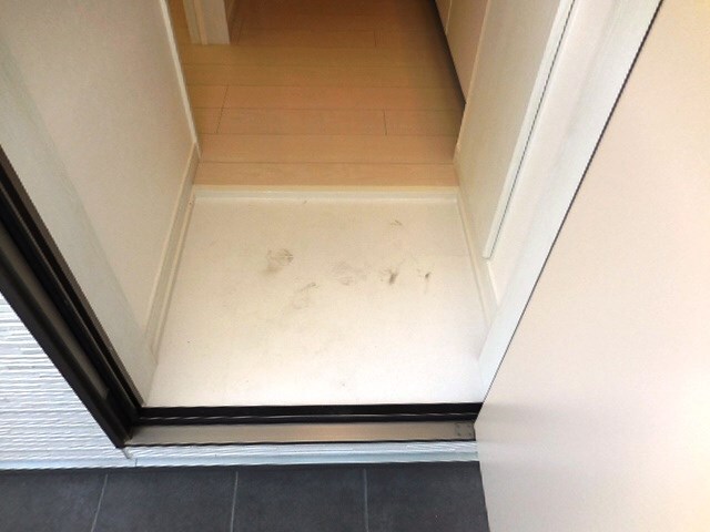 立花駅 徒歩12分 2階の物件内観写真