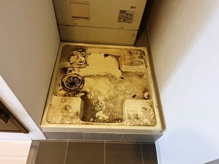 ジュネス米澤の物件内観写真