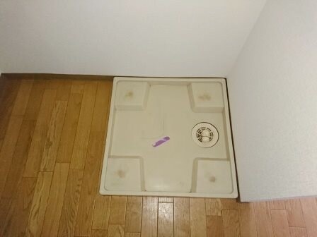 武庫之荘駅 徒歩5分 3階の物件内観写真