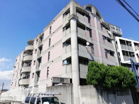 武庫之荘駅 徒歩15分 1階の物件外観写真