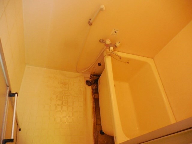 武庫之荘駅 徒歩15分 1階の物件内観写真