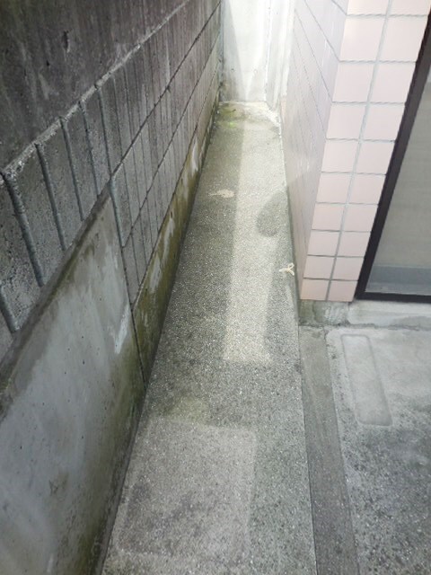 武庫之荘駅 徒歩15分 1階の物件内観写真