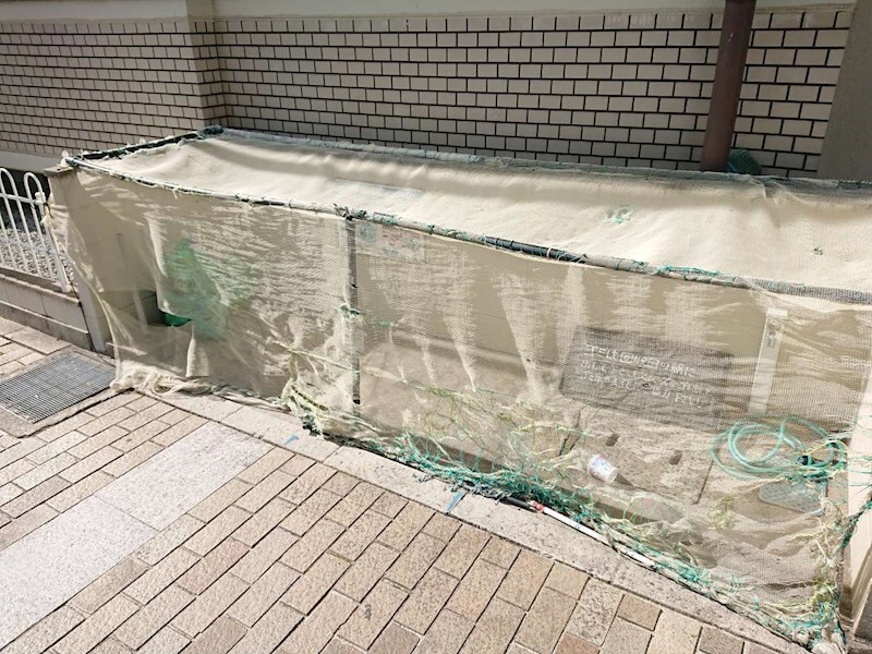 立花駅 徒歩12分 1階の物件内観写真