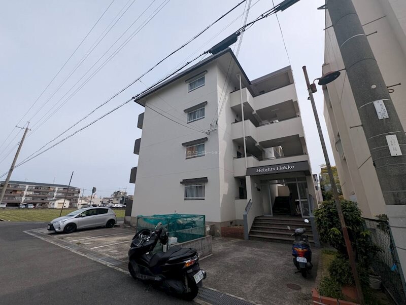 武庫之荘駅 徒歩15分 4階の物件外観写真