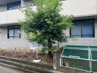 レオパレス日生ひがしの物件内観写真