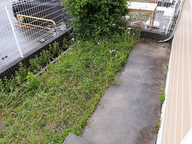 ニイナセレノの物件内観写真