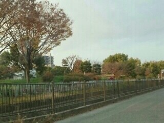 グレンディール　ティニーの物件内観写真