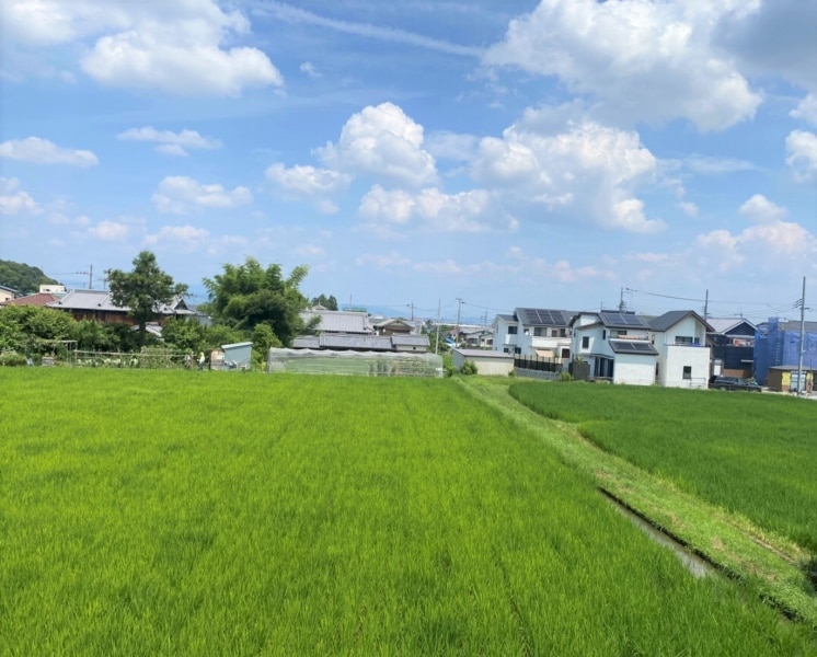 星田駅 徒歩15分 1階の物件内観写真