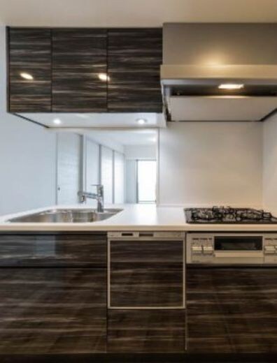 RELUXIA北新宿の物件内観写真