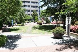 ARTESSIMO　STELLAの物件内観写真