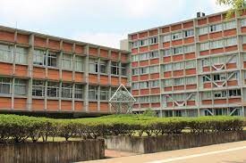 千歳船橋駅 徒歩13分 6階の物件内観写真