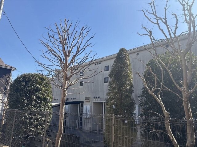 レオネクストグランツ藤２４の物件外観写真