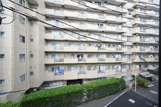 白山駅 徒歩3分 3階の物件内観写真