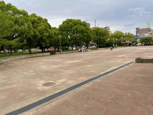 Muse ZioⅤの物件内観写真