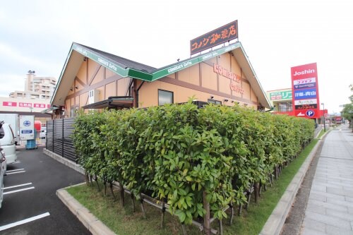 サンヒルズ和泉の物件内観写真