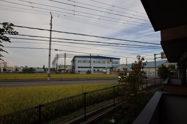 ラ・フェリーチェの物件内観写真