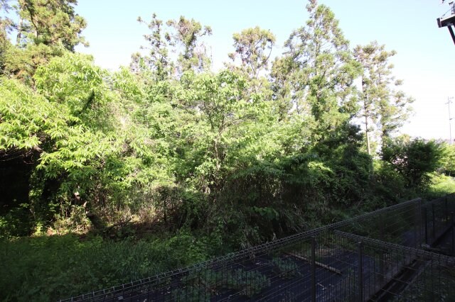 ヴェルドミールⅡの物件内観写真