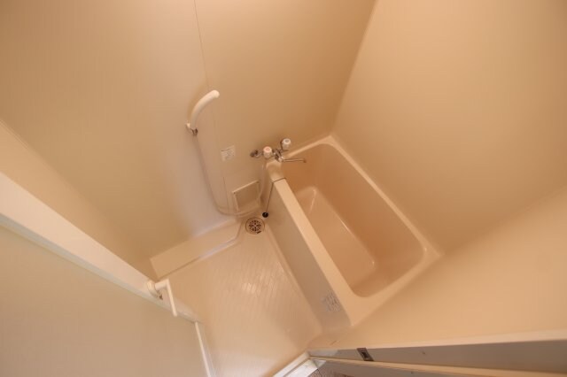 ソフィアコート(半田)の物件内観写真