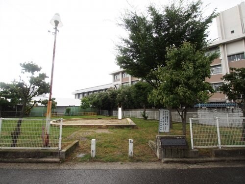 ヒカルサ堺市大野芝の物件内観写真