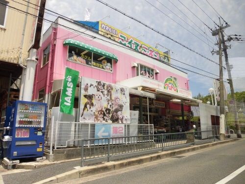 Pine Landの物件内観写真