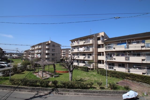 富田林西口駅 徒歩18分 1-2階の物件内観写真