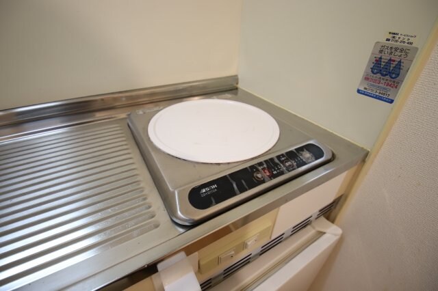 メゾンアルカディア金剛の物件内観写真