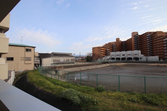 メゾンアルカディア金剛の物件内観写真