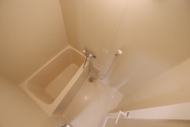 ソフィアコート(半田)の物件内観写真