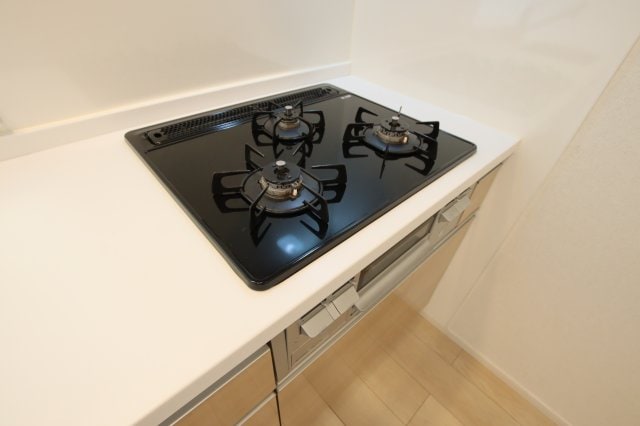 エレガントオハナの物件内観写真