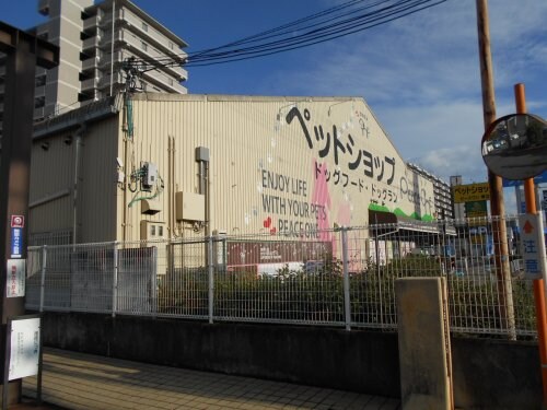 ヴィラ　ハピラパナの物件内観写真