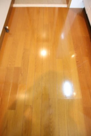 Aria vitaの物件内観写真