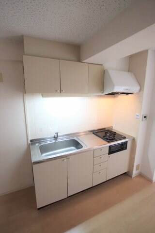 ヴィラ・ビアンカ美原の物件内観写真