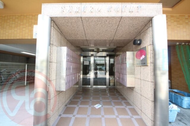 西長堀駅 徒歩5分 5階の物件外観写真