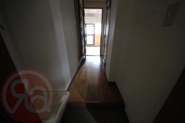 西長堀駅 徒歩5分 5階の物件内観写真