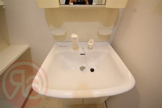 九条駅 徒歩5分 2階の物件内観写真