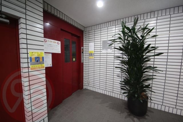 九条駅 徒歩5分 5階の物件内観写真