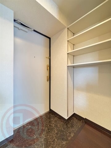 ドーム前千代崎駅 徒歩8分 3階の物件内観写真