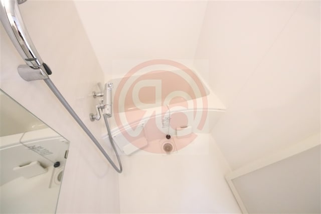 九条駅 徒歩5分 4階の物件内観写真