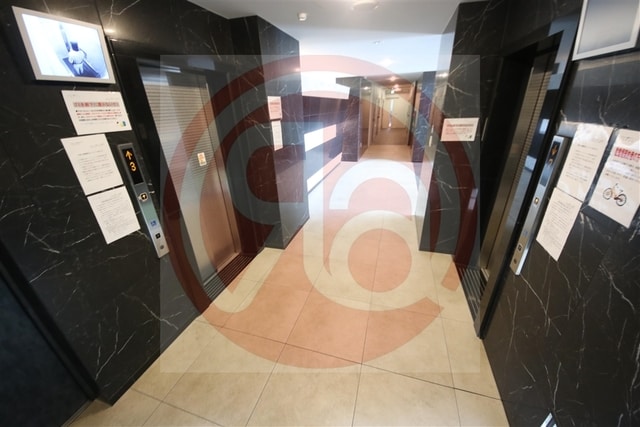 芦原橋駅 徒歩5分 11階の物件外観写真