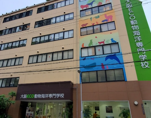 肥後橋駅 徒歩7分 10階の物件内観写真