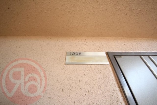 九条駅 徒歩5分 2階の物件内観写真