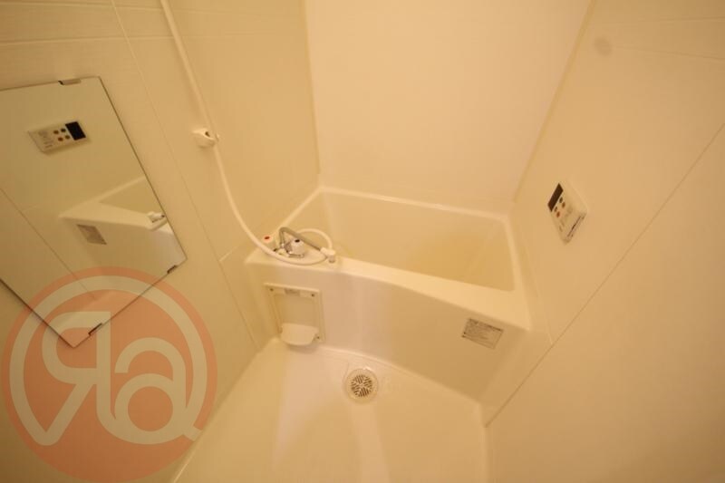 九条駅 徒歩5分 2階の物件内観写真