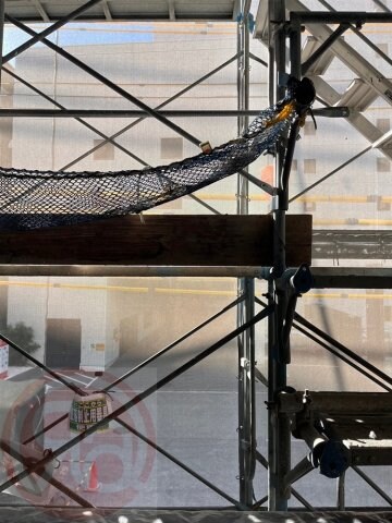 セレニテ難波グランデシュッドの物件内観写真