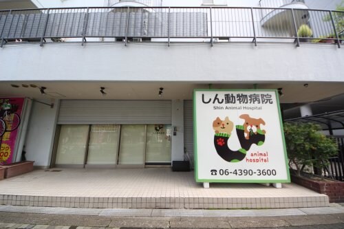 ドーム前千代崎駅 徒歩5分 3階の物件内観写真