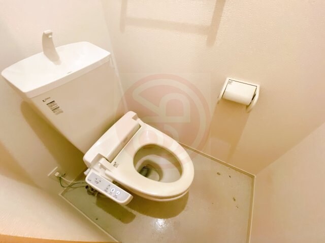 プラシード・カーサの物件内観写真