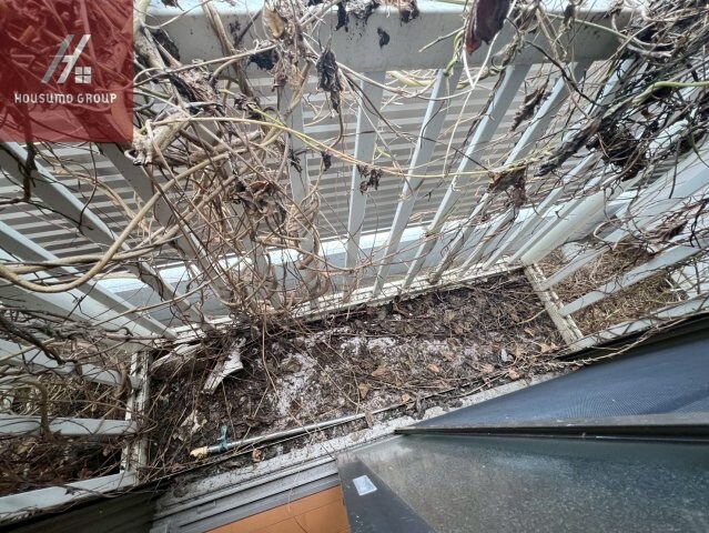 パレスハナテンⅡの物件内観写真