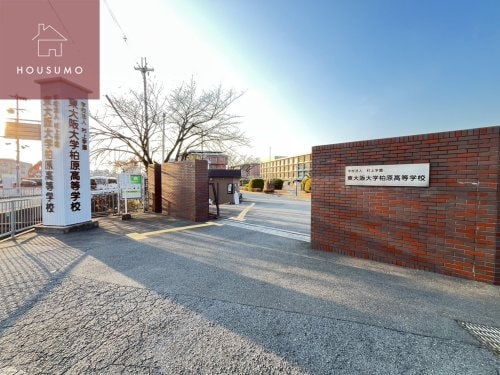 八尾南駅 徒歩25分 2階の物件内観写真