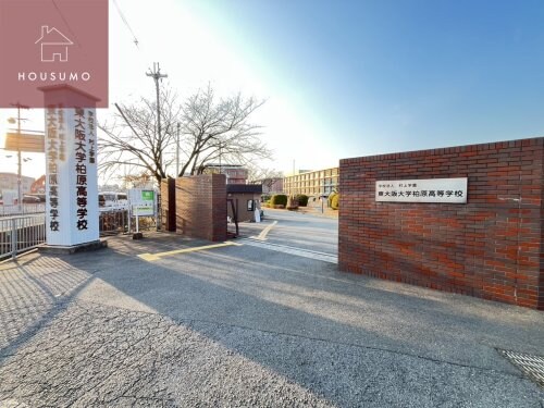 藤井寺駅 徒歩29分 2階の物件内観写真