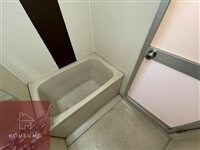 シロハイヌ今米の物件内観写真